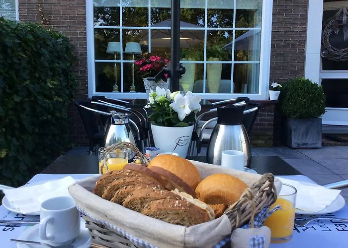 奥尔兰耶酒店 酒店